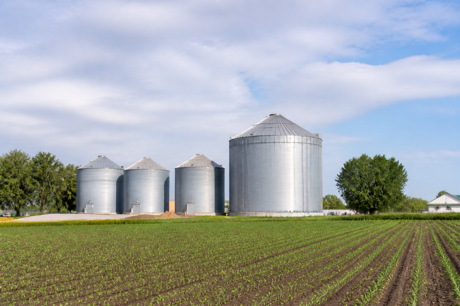 Silo distribution: